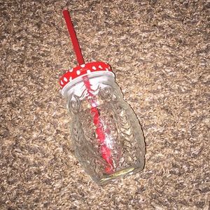 Owl Mason Jar Cup with Straw 黎
